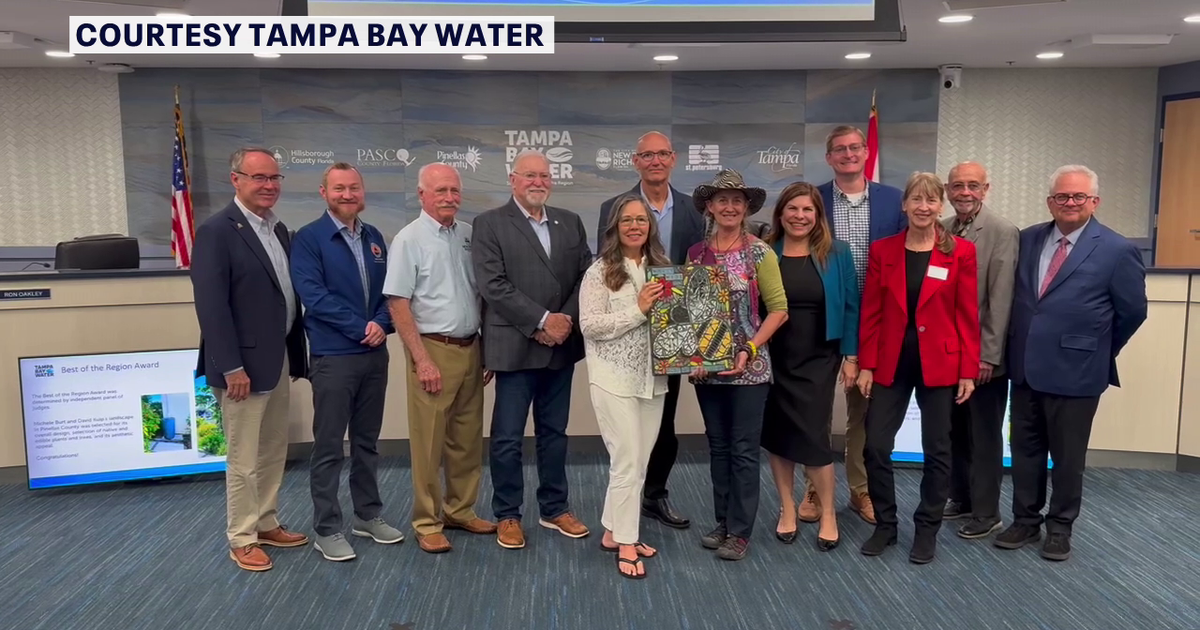 Bay Area residents recognized for water-efficient landscaping amid historic drought