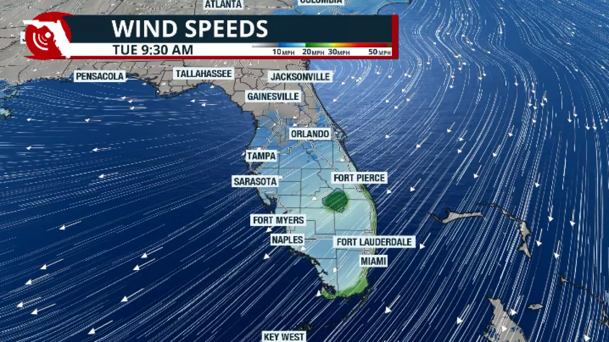 Strong gusty wind inland, up to 25 mph at times, and over 30 mph along Florida's East Coast.