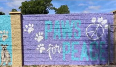 ‘I felt very safe:’ Domestic violence survivor finds hope at Harbor House of Central Florida