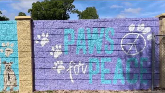 ‘I felt very safe:’ Domestic violence survivor finds hope at Harbor House of Central Florida