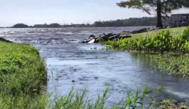 Jacksonville wastewater plan could reshape North Florida water supply