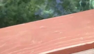 Jacksonville wastewater plan could reshape North Florida water supply