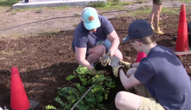 Pinellas Virtual School students celebrate Earth Day with tree-planting project at Patti Johnson Farm