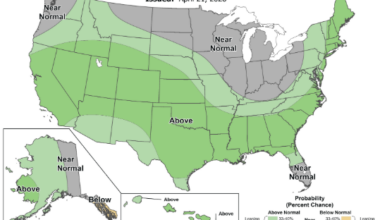 The Climate Prediction Center's 8-14 day outlook shows a 40% to 50% chance of higher precipitation for the Tallahassee area through May 5, 2026.