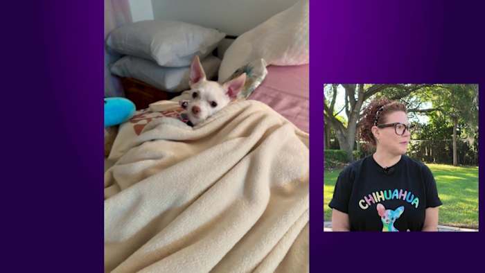 ‘I cried for half an hour:’ Domestic abuse survivor reunited with dog at Harbor House finds healing