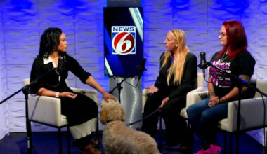 Harbor House’s Paws for Peace program helps survivors and their pets find safety together 