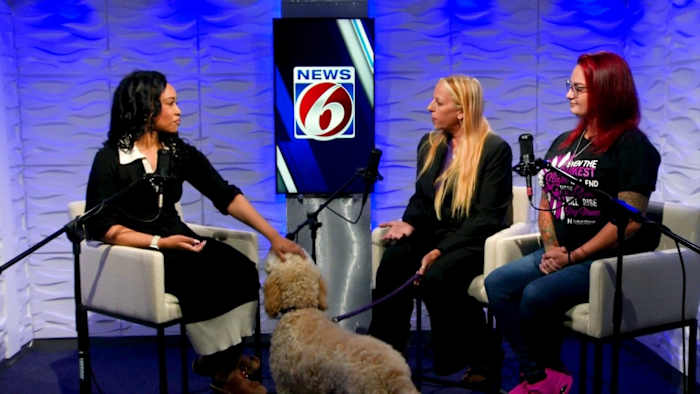 Harbor House’s Paws for Peace program helps survivors and their pets find safety together 