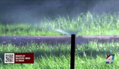 Northeast Florida counties face stricter water use limits amid extremely dry conditions