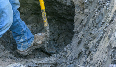 Jacksonville will begin replacing about 245 lead service lines throughout the northwest part of town starting about June, according to officials.