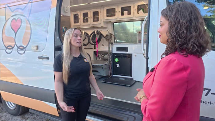 Paws for Peace program helps domestic violence survivors by caring for their pets