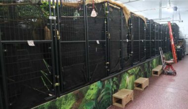 Warehouse wasn't ready for animals; 31 died