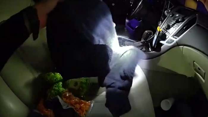 Bodycam footage shows officers searching Terry Mitchell's car