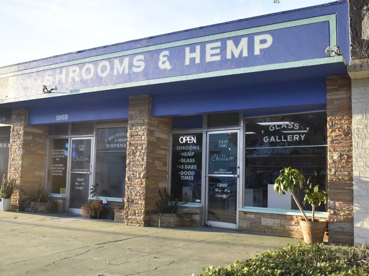 ‘Legal mushroom dispensary’ in St. Pete will close on Sunday