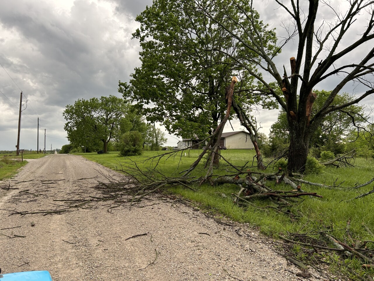 damaged tree in miami county 4/26