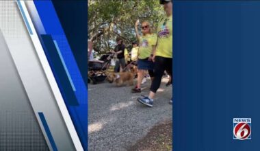 Hundreds gather for annual Paws for Peace walk