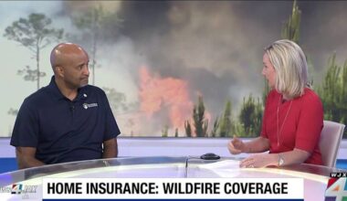 What are your insurance claim options after a wildfire & how can you protect your property beforehand?