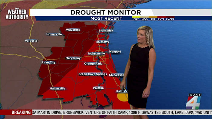 Fire risk rises as drought grips South Georgia and North Florida, News4JAX meteorologist warns