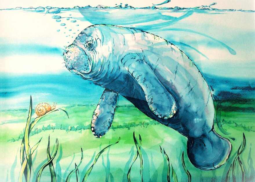 'Manatee' by watercolorist Linda Benson.