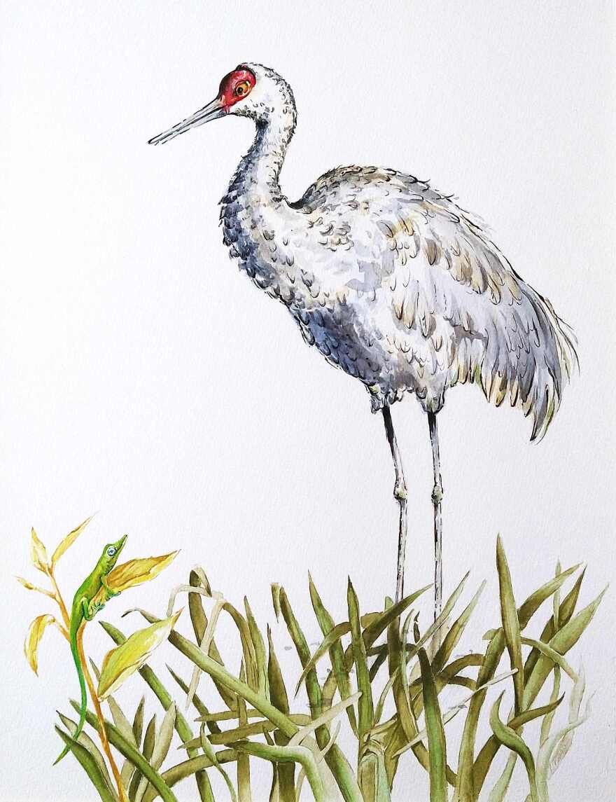 'Sand Crane' is one of several Linda Benson watercolors included in 2026 Biennial Grant Recipient Show.