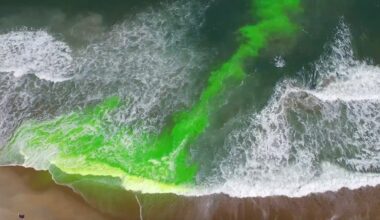 Florida city brings attention to rip currents after CT man's death