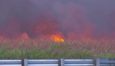 Fire today near Tamiami Trial in Miami-Dade – NBC 6 South Florida