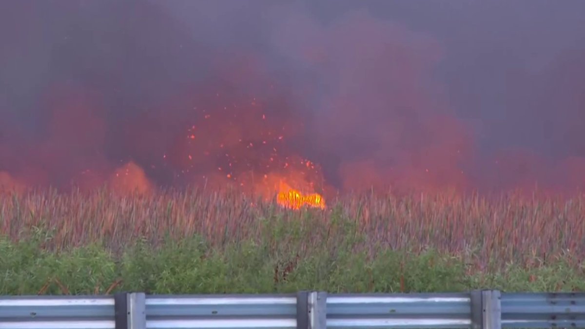 Fire today near Tamiami Trial in Miami-Dade – NBC 6 South Florida