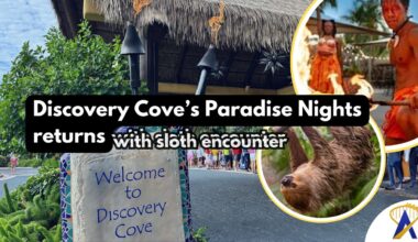 Paradise Nights Discovery Cove with sloth and new show - Photos by Dani Meyering, Discovery Cove and Getty Images Pro