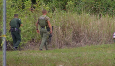 Charlotte County deputies seek help identifying woman found dead in Hunters Creek | Charlotte County
