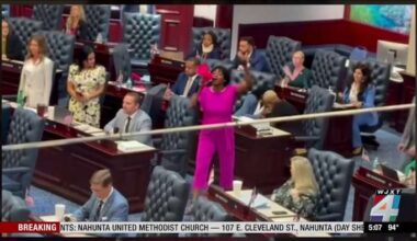 Rep. Angie Nixon pushes back against congressional map that could help Republicans retain House
