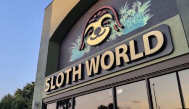 Lawmaker calls for criminal investigation after sloth dies following rescue from Orlando attraction