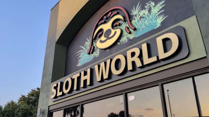 Lawmaker calls for criminal investigation after sloth dies following rescue from Orlando attraction