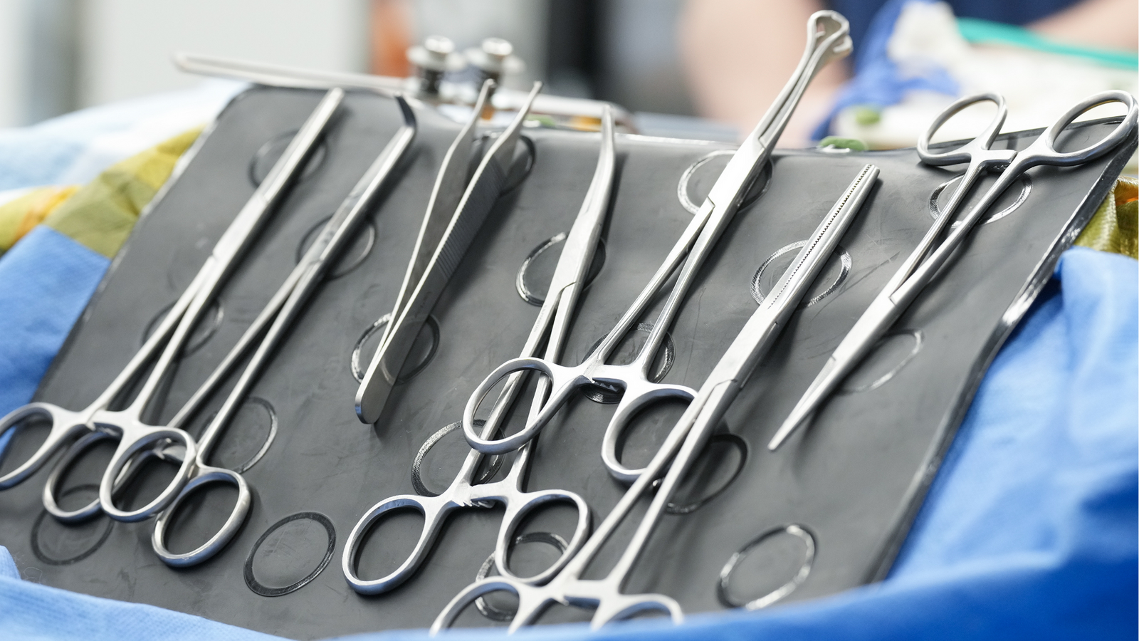 Florida doctor faces manslaughter charge for allegedly removing wrong organ during surgery