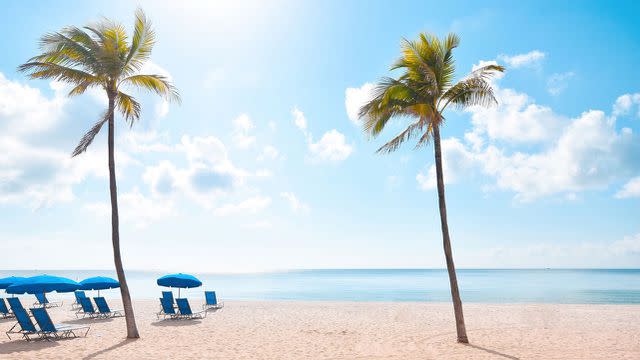 Credit: Visit Lauderdale