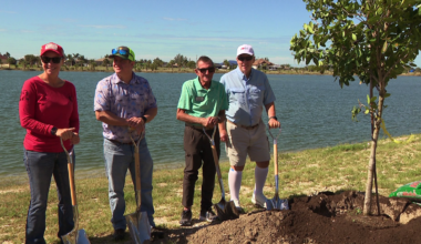 Cape Coral celebrates Arbor Day by planting over 300 new trees