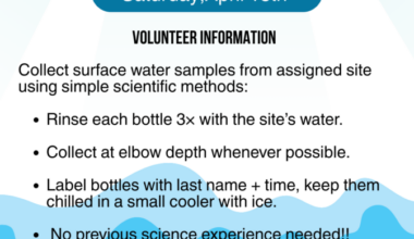 What’s in the water? - FORT MYERS
