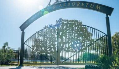 Cemetery becomes Florida's first to earn arboretum accreditation