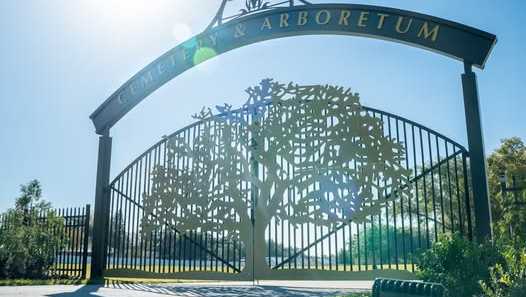 Cemetery becomes Florida's first to earn arboretum accreditation
