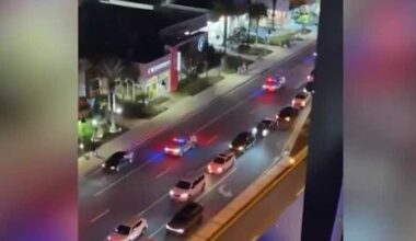 9 arrested, deputies injured after fights break out at Icon Park