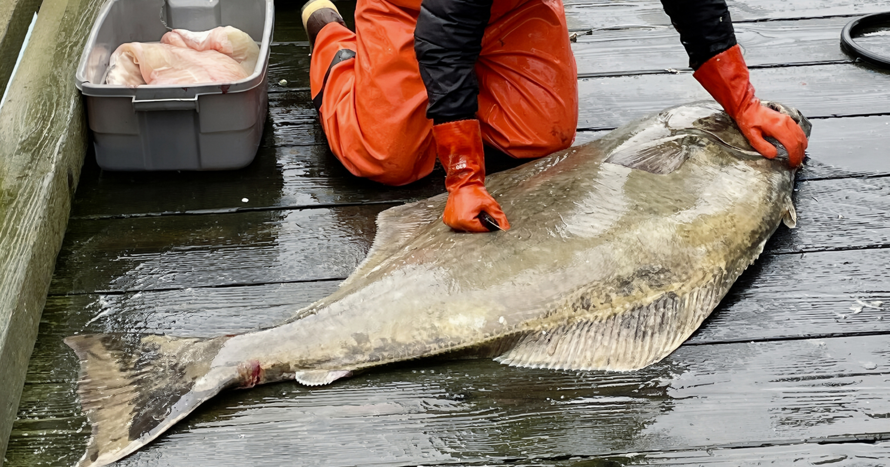 Cama’i Community Health Center Shares Essential Health Tips for a Safer, Stronger Fishing Season in Bristol Bay