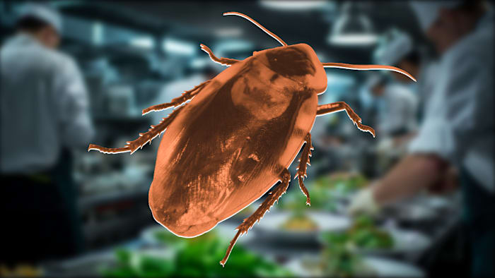 6 more eateries shut down in Central Florida