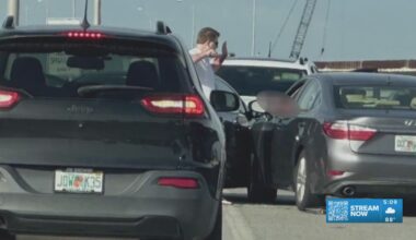 Judge approves plea deal for man who stabbed driver on Howard Frankland Bridge