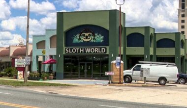 31 sloths meant for Florida 'slotharium' attraction die in warehouse or in transit