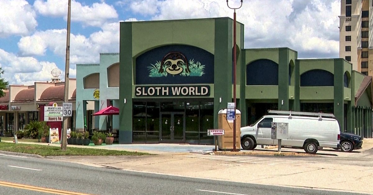 31 sloths meant for Florida 'slotharium' attraction die in warehouse or in transit