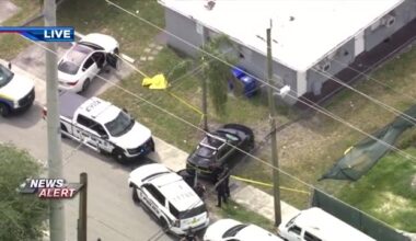 Dog owner opens fire during fight in Fort Lauderdale; 2 dogs dead, 2 injured - WSVN 7News | Miami News, Weather, Sports