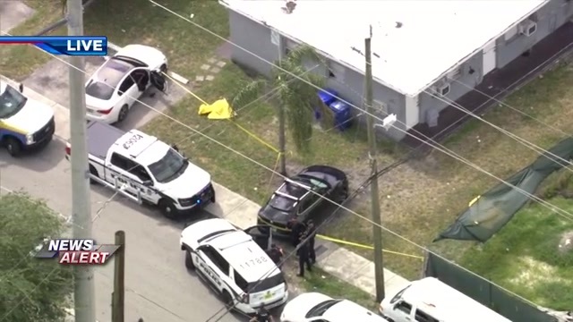 Dog owner opens fire during fight in Fort Lauderdale; 2 dogs dead, 2 injured - WSVN 7News | Miami News, Weather, Sports