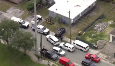 Dog owner opens fire during fight in Fort Lauderdale; 2 dogs dead, 3 injured - WSVN 7News | Miami News, Weather, Sports