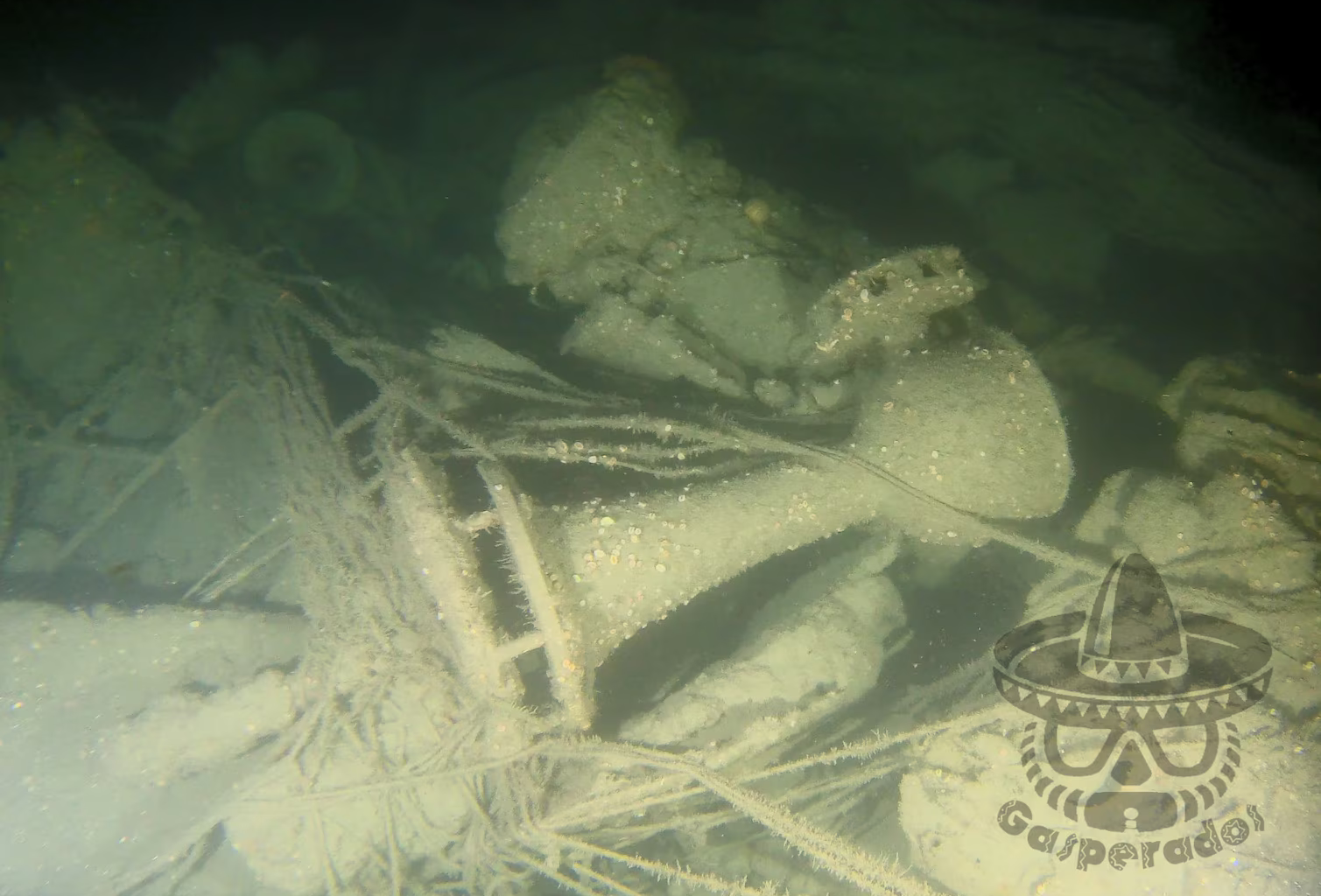Wreckage of U.S. Coast Guard Cutter Tampa Discovered Off Cornwall, United Kingdom > United States Coast Guard News > Press Releases