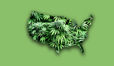 Planning trip out of Florida? Map shows states where marijuana is legal