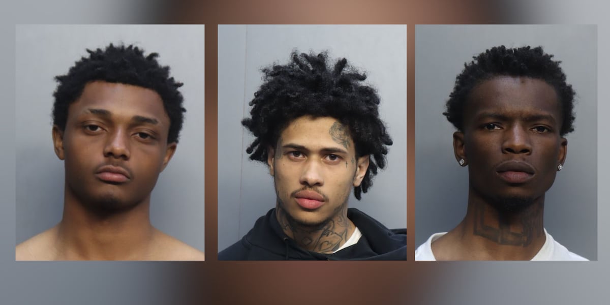 3 Georgia men accused of breaking into ‘Real Housewives of Miami’ star’s home