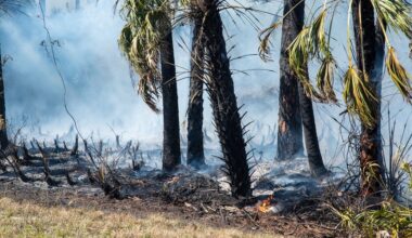 Charlotte County reinstates burn ban